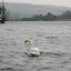 Llangorse Lake- 240410- 0156.jpg