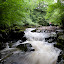 Porth Yr Ogof- 250709- 0333