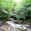 Porth Yr Ogof- 250709- 0320