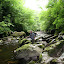 Porth Yr Ogof- 250709- 0020