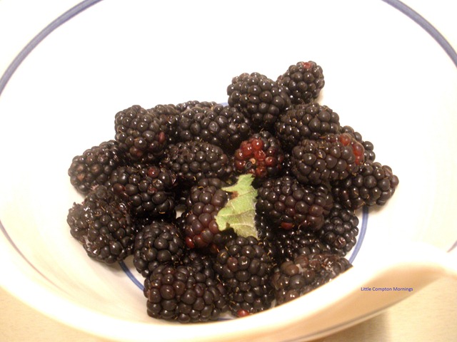 [Blintzes blackberries[3].jpg]