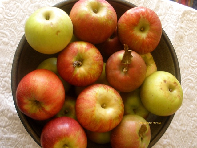 [AppleTartbowl4.jpg]