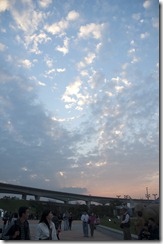 DSC_0331 DSC_0331