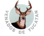 [Logo+Venados+1989-1999[2].jpg]