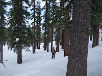 id_2309148