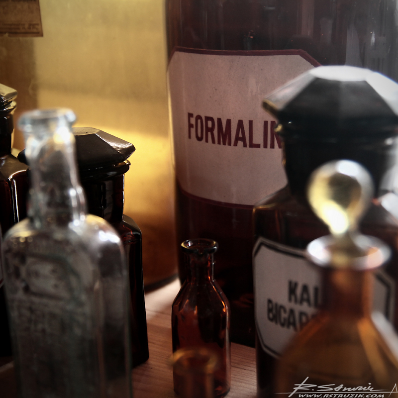 IMG_1806a copy.jpg