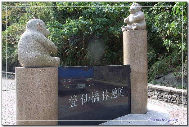 http://lh6.ggpht.com/_oHZKS5XSNYs/SWw91AsV6MI/AAAAAAAAG8k/I3HA3oS0Rrw/s800/R0017862.jpg