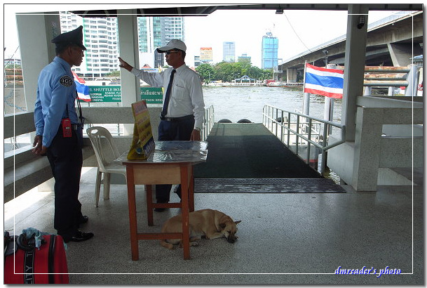 http://lh6.ggpht.com/_oHZKS5XSNYs/ScGS4w4NjyI/AAAAAAAAHoI/k1GBzv9rtNA/s800/R0018969.jpg