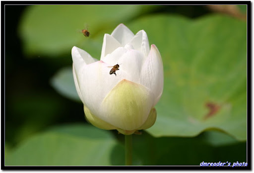 http://lh6.ggpht.com/_oHZKS5XSNYs/TA9KhCEe-ZI/AAAAAAAAJZc/T7yBjsinQBs/IMG_1402.jpg
