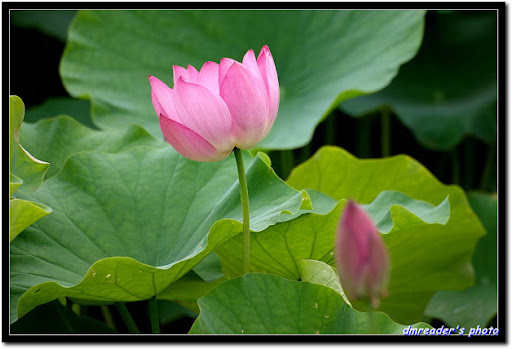 http://lh6.ggpht.com/_oHZKS5XSNYs/TA9KlldwGnI/AAAAAAAAJaA/ZZuZnhETEow/CRW_1261_RJ.jpg