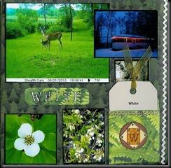 2010 ABC Scrapbook W