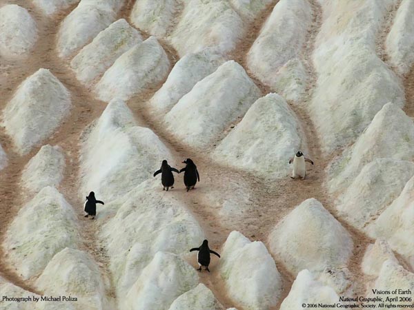 National Geographic - April 2006 - Visions of Earth - Photograph by Michael Poliza National Geographic - April 2006 - Visions of Earth - Photograph by Michael Poliza