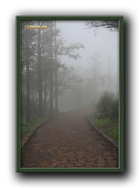 Heaven Path