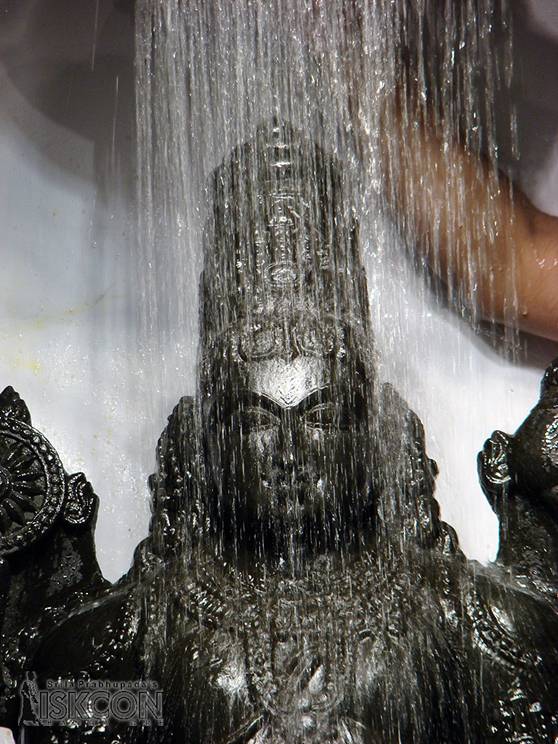 Bathing Lord Balaji with Water - Photo 2