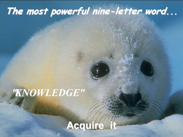 The most powerful nine-letter word - Knowledge - Acquire it