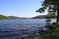 IMG_5760.JPG Photo