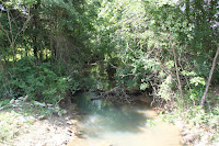 IMG_6412.JPG