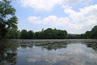 IMG_6355.JPG