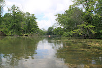 IMG_6367.JPG