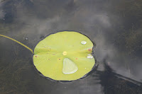 IMG_6383.JPG