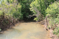IMG_6428.JPG
