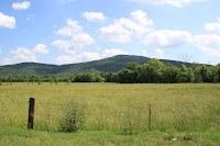 IMG_6445.JPG