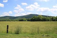 IMG_6446.JPG