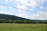 IMG_6451.JPG