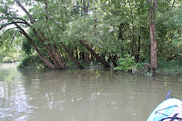 IMG_1869.JPG