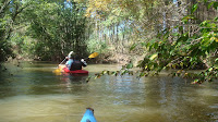 DSC01552.JPG Photo