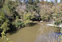 IMG_3084.JPG Photo