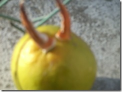 DSCN1026 DSCN1026