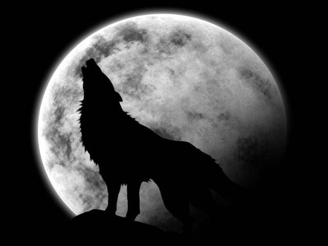 [fondos-dibujos-lobos-1024[3].jpg]