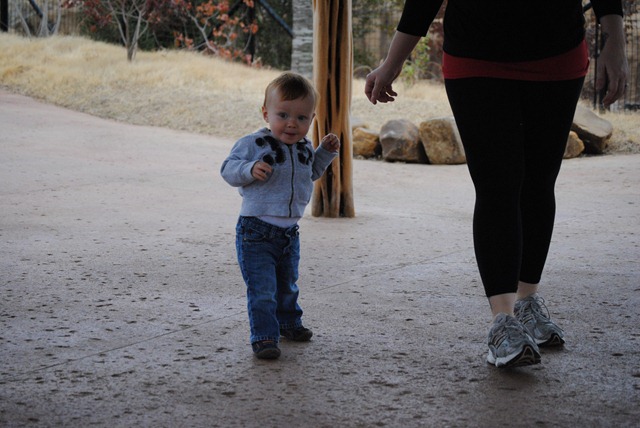 [DSC_0743[2].jpg]