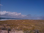 2009-07-27 16.46.13.jpg