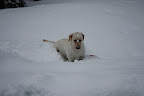 IMG_5087.JPG