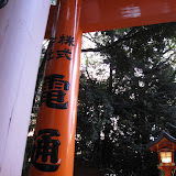 IMG_2833.JPG