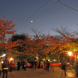 IMG_2838.JPG