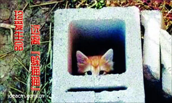 珍爱生命&middot;远离&ldquo;躲猫猫&rdquo;