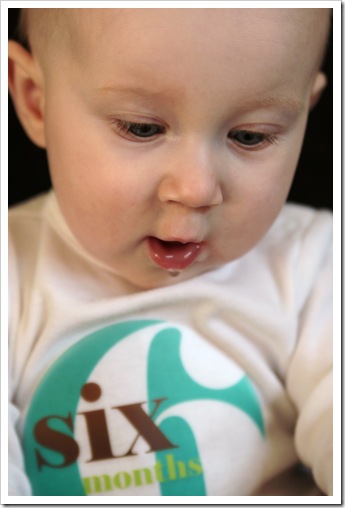 IMG_4461 IMG_4461
