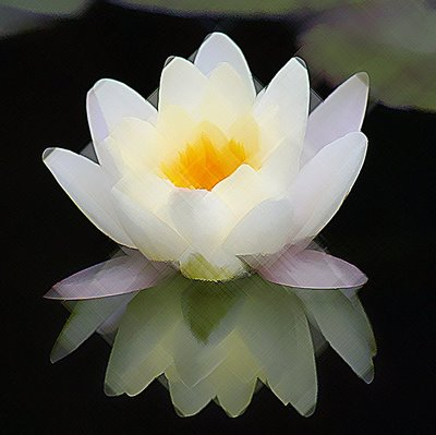 [lotus[1].png]