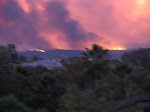 IMG_4634.JPG