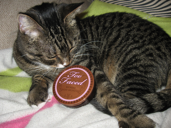 Too Faced Aqua Bunny Bronzer