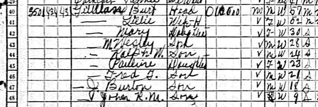 [1930 Census - Gilliland cropped[10].jpg]