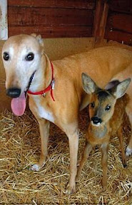 Jasmine e Bramble