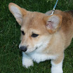 2010_08_13_1273.JPG