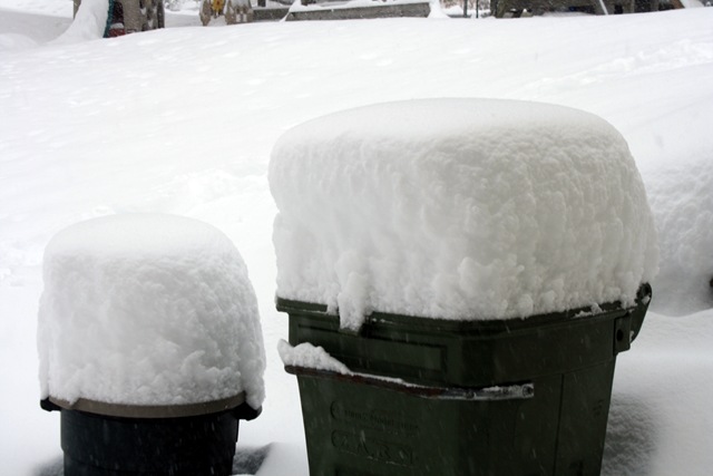 [snowcans[3].jpg]