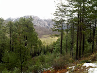 22022010094.jpg Photo