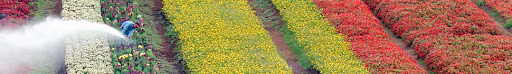 header_1.jpg