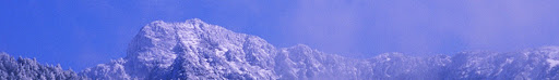 header_3.jpg